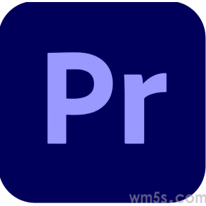 Adobe Premiere Pro 2023 SP